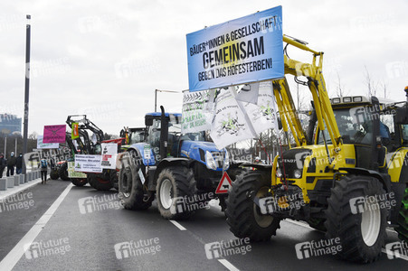 Demonstration 'Wir haben es satt' in Berlin