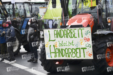 Demonstration 'Wir haben es satt' in Berlin