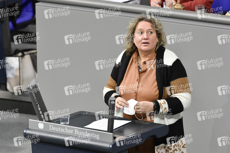 205. Sitzung des Deutschen Bundestages in Berlin