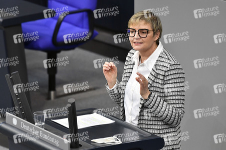 207. Sitzung des Deutschen Bundestages in Berlin