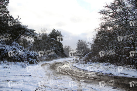 Symbolfoto Winterstimmung
