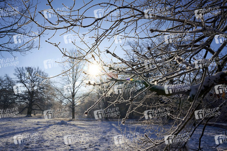 Winterliche Herrenhäuser Gärten in Hannover