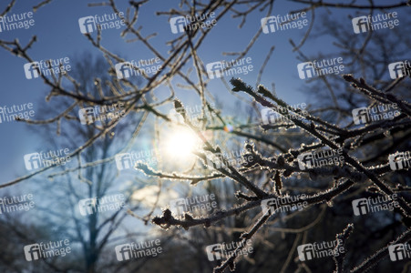 Winterliche Herrenhäuser Gärten in Hannover