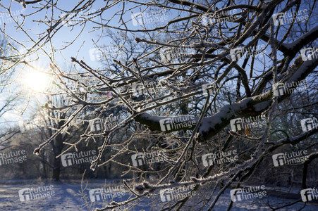 Winterliche Herrenhäuser Gärten in Hannover