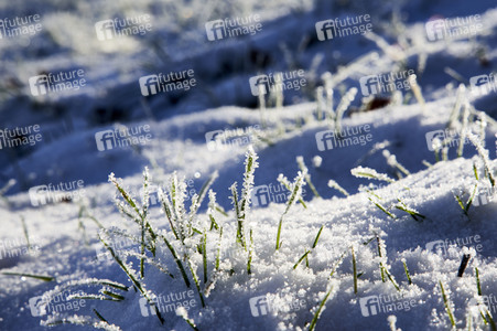 Winterliche Herrenhäuser Gärten in Hannover
