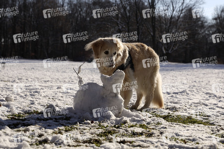Winterspaziergang in Berlin