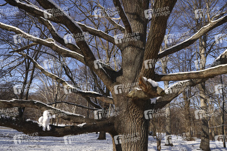 Winterspaziergang in Berlin