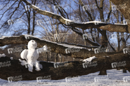 Winterspaziergang in Berlin
