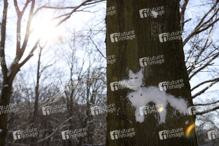 Winterspaziergang in Berlin