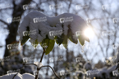 Winterspaziergang in Berlin