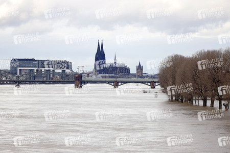Hochwasser in Köln