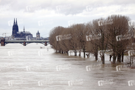Hochwasser in Köln