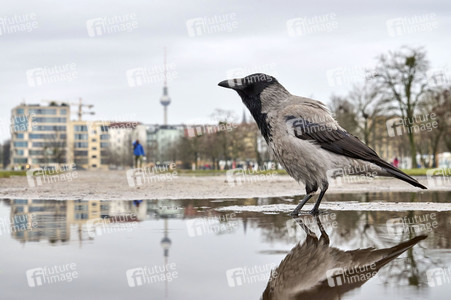 Regenwetter in Berlin