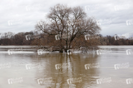 Hochwasser in Köln