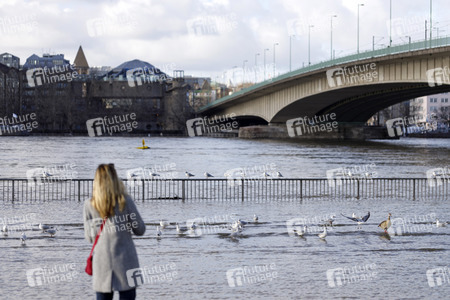 Hochwasser in Köln