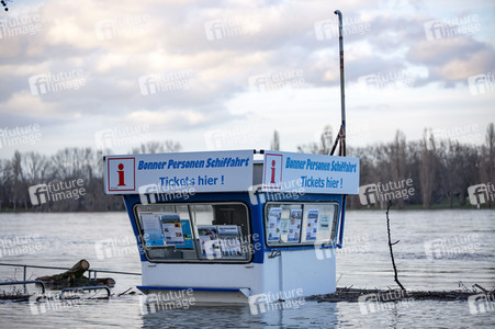 Hochwasser in Bonn
