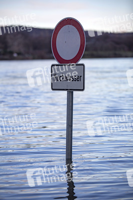 Hochwasser in Bonn