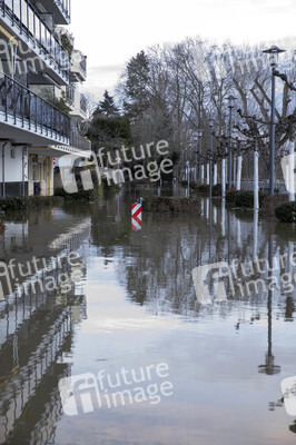 Hochwasser in Königswinter