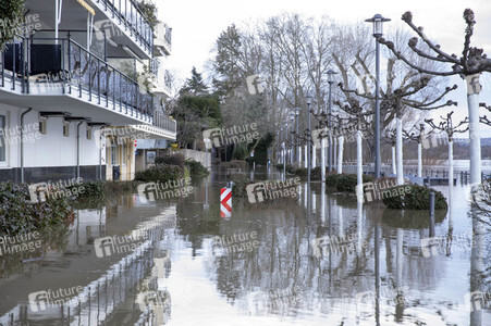 Hochwasser in Königswinter