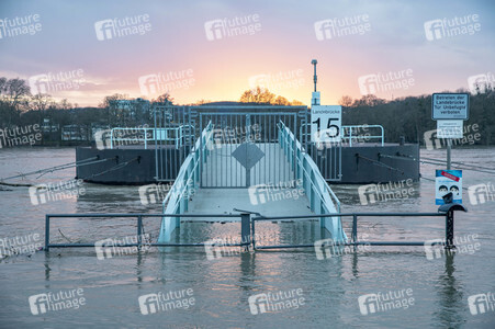 Hochwasser in Königswinter