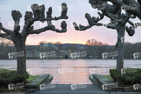 Hochwasser in Königswinter