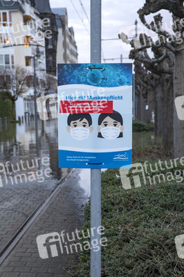 Hochwasser in Königswinter