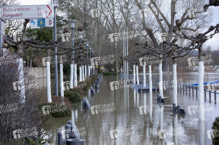 Hochwasser in Königswinter