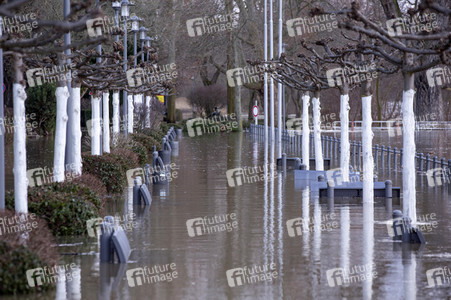 Hochwasser in Königswinter