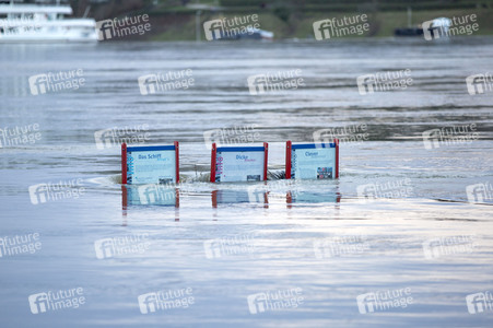 Hochwasser in Königswinter
