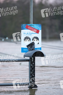 Hochwasser in Königswinter