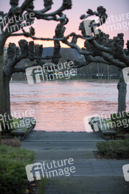 Hochwasser in Königswinter