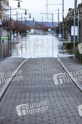 Hochwasser in Königswinter