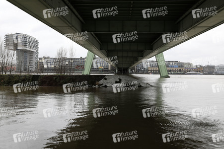 Hochwasser in Köln