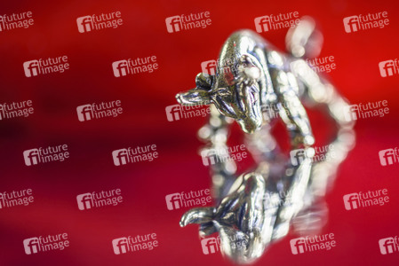 Symbolfoto Chinesisches Neujahrsfest