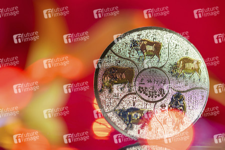 Symbolfoto Chinesisches Neujahrsfest