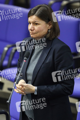 208. Sitzung des Deutschen Bundestages in Berlin