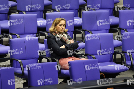 208. Sitzung des Deutschen Bundestages in Berlin