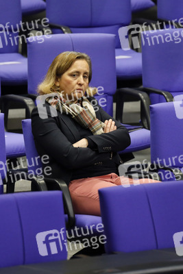 208. Sitzung des Deutschen Bundestages in Berlin