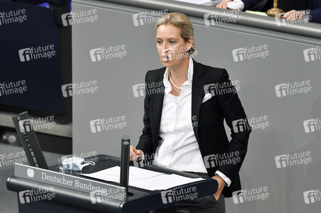 209. Sitzung des Deutschen Bundestages in Berlin