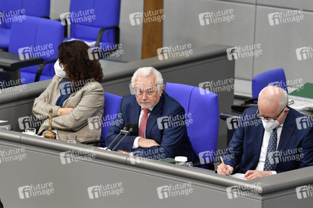 209. Sitzung des Deutschen Bundestages in Berlin