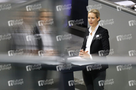 209. Sitzung des Deutschen Bundestages in Berlin