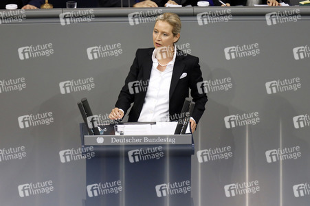 209. Sitzung des Deutschen Bundestages in Berlin