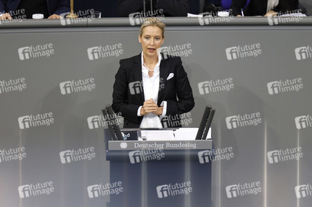 209. Sitzung des Deutschen Bundestages in Berlin