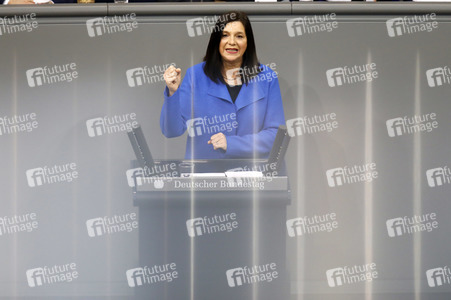 209. Sitzung des Deutschen Bundestages in Berlin