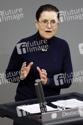 209. Sitzung des Deutschen Bundestages in Berlin