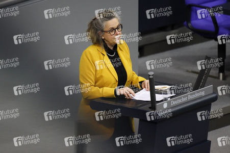 209. Sitzung des Deutschen Bundestages in Berlin