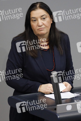 210. Sitzung des Deutschen Bundestages in Berlin