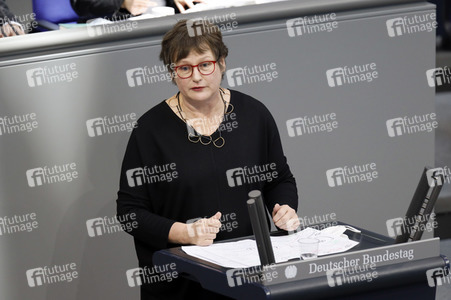 210. Sitzung des Deutschen Bundestages in Berlin