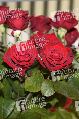 Symbolfoto Valentinstag