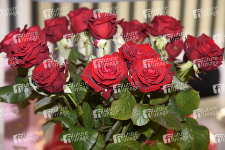 Symbolfoto Valentinstag